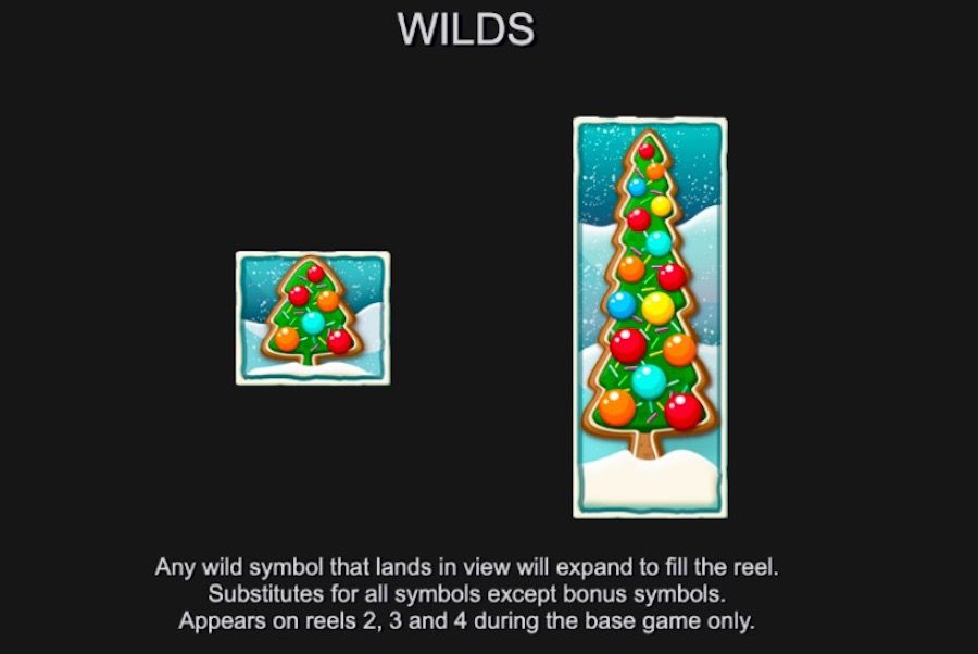 Christmas Cash Spins Feature Symbol - partycasino-canada