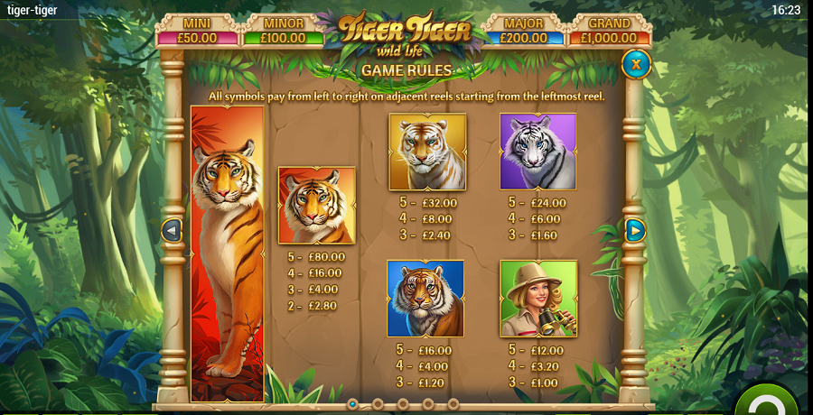Tiger Tiger Feature Symbols - partycasino-canada