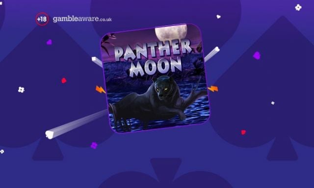 Panther Moon - partycasino