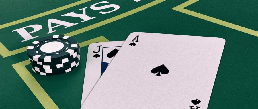 Beginners Guide To Blackjack - partycasino