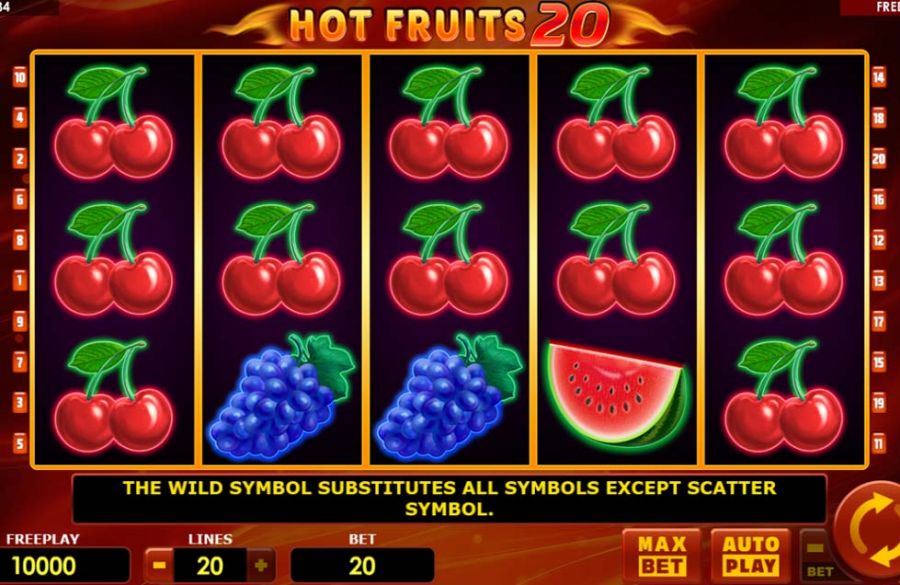 Hot Fruits 20 - partycasino