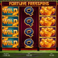 Fortune Free Spins Bonus - partycasino