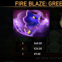 Fire Blaze Green Wizard Bet - partycasino