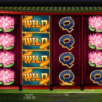 Fortune Free Spins Slot - partycasino