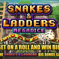 Snakes And Ladders Megadice Slot - partycasino
