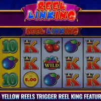 Reel Linking Slot - partycasino
