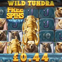 Wild Tundra Wheel Spin - partycasino